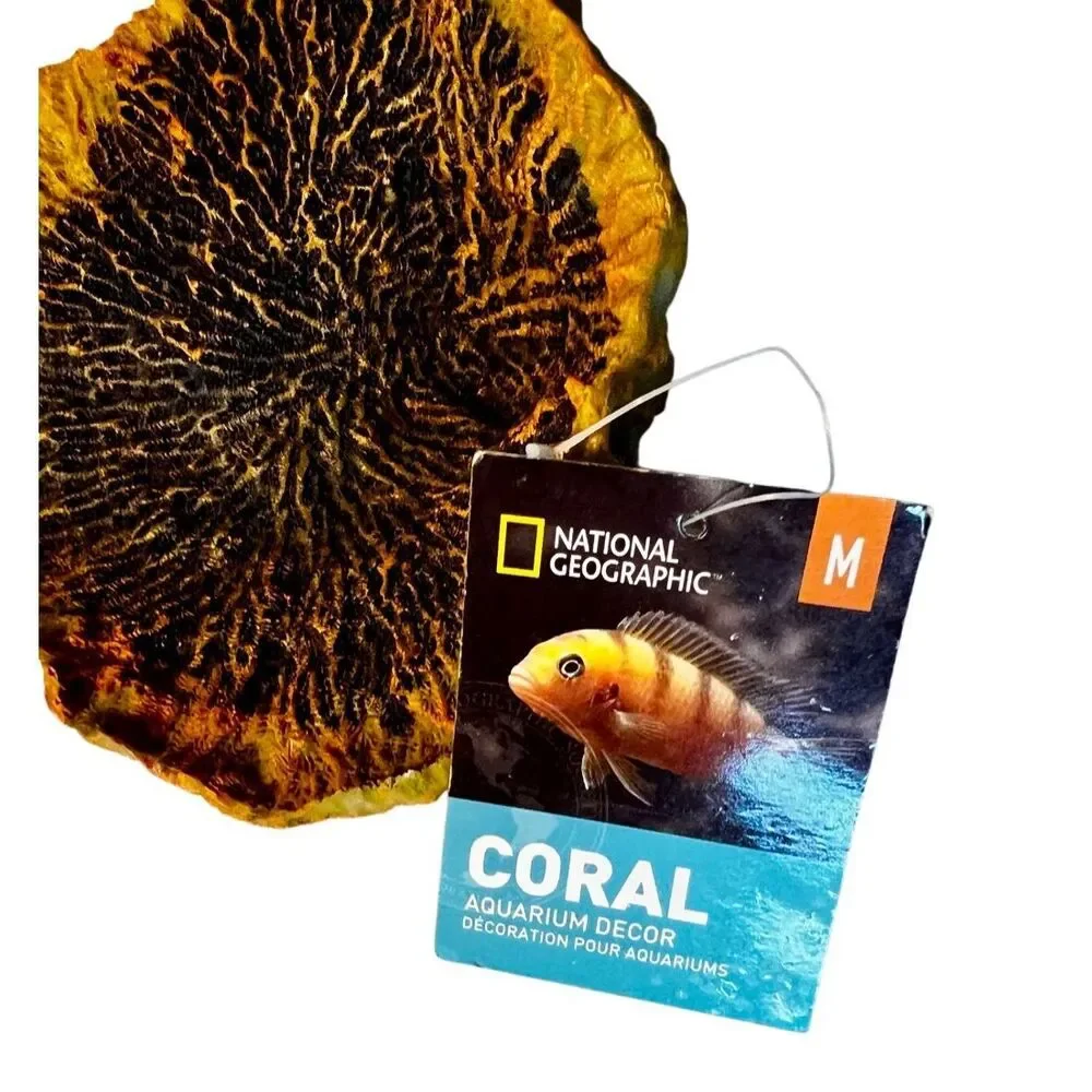 National Geographic Brand Artificial Plate Coral Fish Aquarium Decor New W/Tags